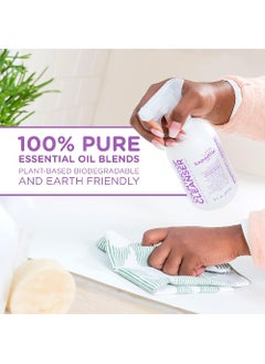 Countertop Cleanser, Sweet Lavender + Lime, 16oz, Pack of 1 - pzsku/Z769574ECEF1B63F01D8BZ/45/_/1703828449/25072eca-a2ba-4566-adc2-47b8170fc90b