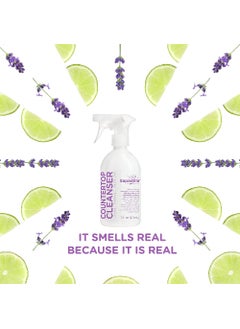 Countertop Cleanser, Sweet Lavender + Lime, 16oz, Pack of 1 - pzsku/Z769574ECEF1B63F01D8BZ/45/_/1703828449/f7f2f84e-bfd3-4fe1-b176-c56424696e1a