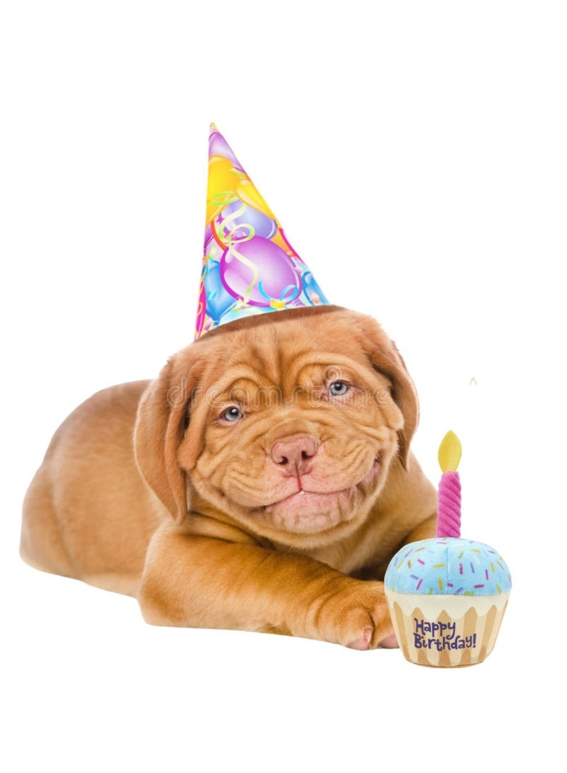 PETSARY Birthday Cake Slice Toys for Dogs and Cats | Soft Stuffed Animal Dog Suit for Small Medium | Squeaky Sound Plush Durable Birthday Party Supplies Gift Chew for Dog (Happy Birthday Slice) - Image 1