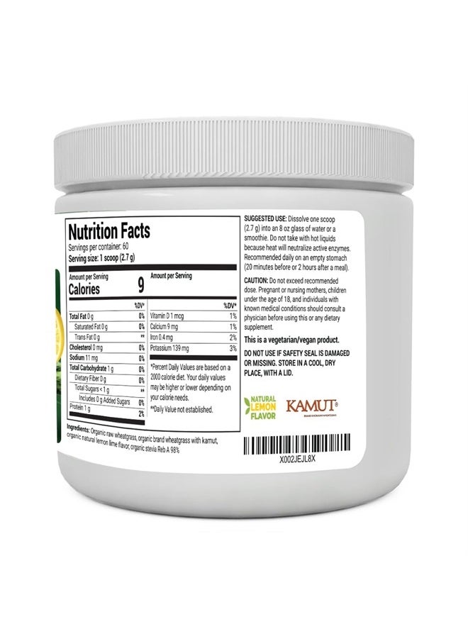 Dr. Bergs Nutritionals - Dr. Berg USDA Certified Organic Green Powder Superfood (60 Servings) - Made with Raw Wheatgrass Powder, Chlorophyll, Trace Minerals & Natural Enzymes - Non-GMO Green Superfood Powder - Lemon Flavor - Image 1