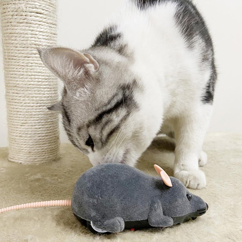 Popular export pet toy, cat teaser, remote control, simulated animal, flocked mouse, prank toy. - Image 5