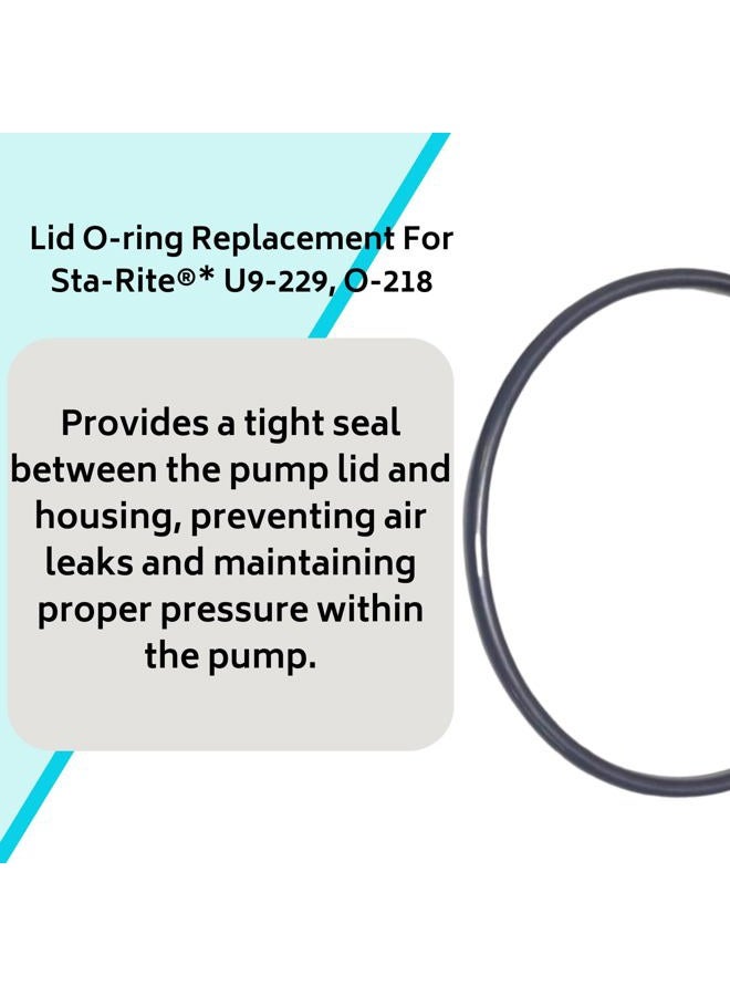 Southeastern Accessory O-Ring Rebuild Kit (Pre 1998) for Sta-Rite P2RA & P2R Dura-Glas/MaxeGlas Pump Repair Kit 6 - Image 5