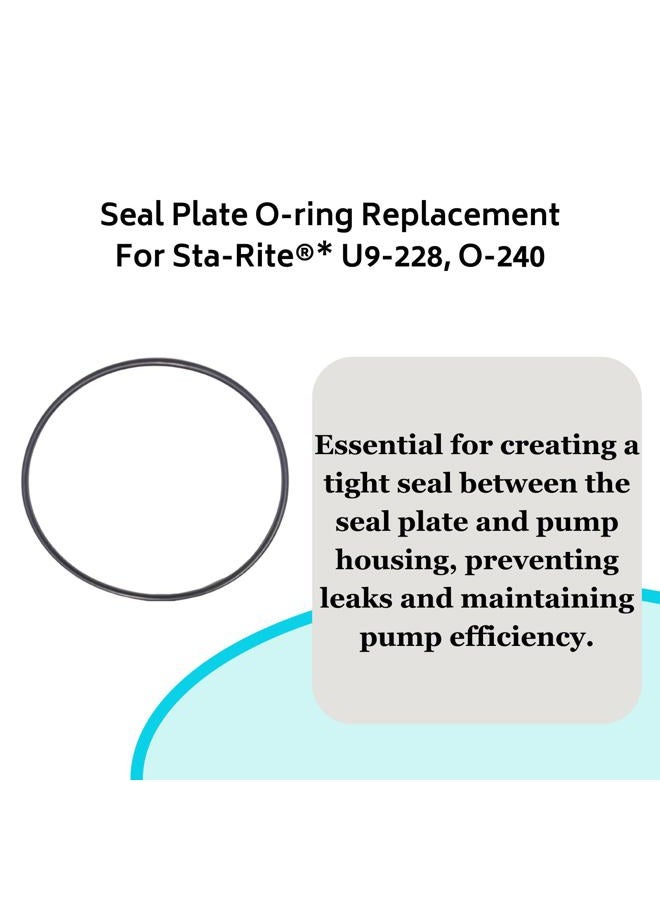 Southeastern Accessory O-Ring Rebuild Kit (Pre 1998) for Sta-Rite P2RA & P2R Dura-Glas/MaxeGlas Pump Repair Kit 6 - Image 3