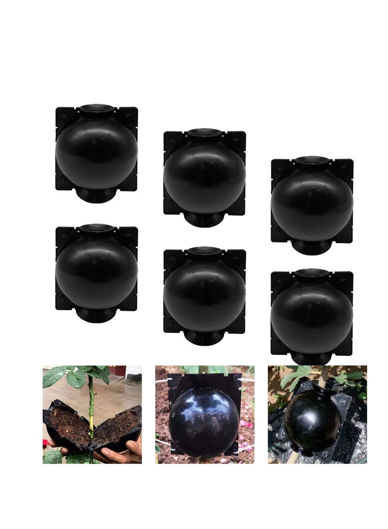 SYOSI Plant Root Growing Box Grafting Device 6Pcs, High Pressure Propagation Ball Box, Assisted Cutting Plants Rooting Growing Breeding for Reproduction Equipment (M) - Image 1