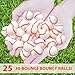 Kiddie Play 25 Bouncy Balls for Kids Party Favors Baseball Bouncy Ball 27mm Superball Small Rubber Balls for Kids - Image 4