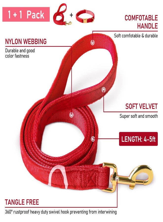 GAMUDA Velvet Dog Collar and Leash, Super Soft and Smooth, Heavy Duty Gold Buckle, Comfortable and Easy to Clean, Adjustable Collar for Dog (S, Red) - Image 3