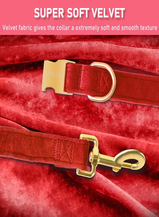 GAMUDA Velvet Dog Collar and Leash, Super Soft and Smooth, Heavy Duty Gold Buckle, Comfortable and Easy to Clean, Adjustable Collar for Dog (S, Red) - Image 4