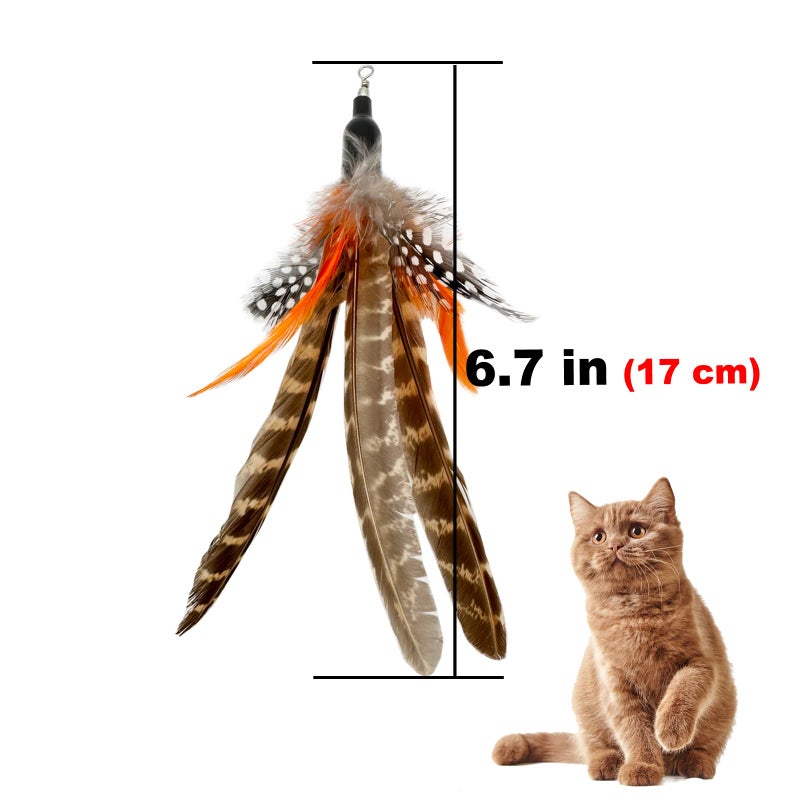TIENAILING Cat Feather Toys Refills, 6 Pieces Handmade Da Bird Feathers Refill, Cat Wand Replacement Feather for Indoor Cats (B) - Image 4