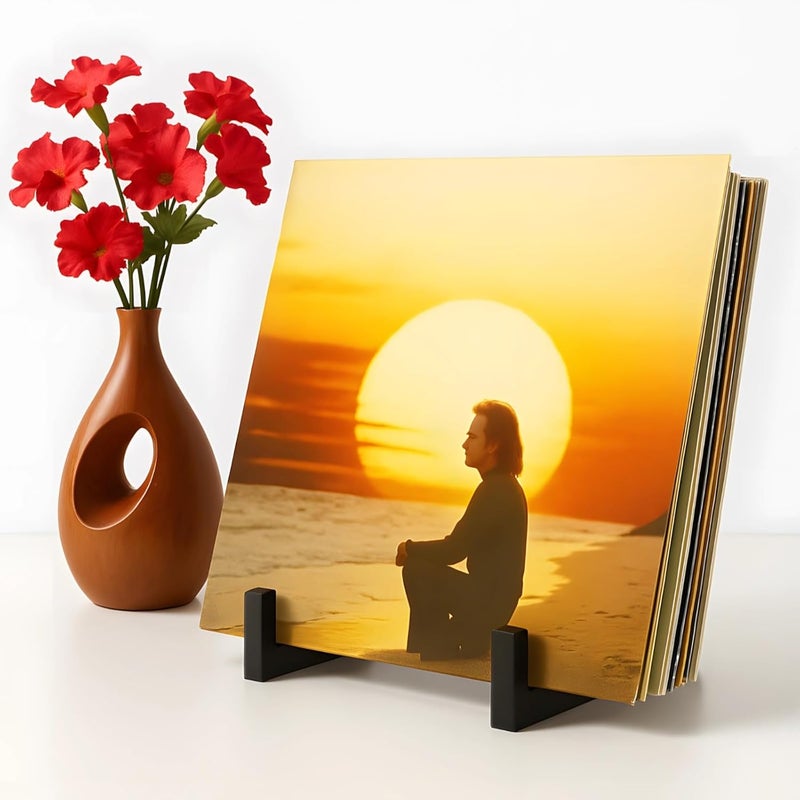 حوامل عرض أقراص LP المعدنية، حوامل تخزين أسطوانات الفينيل، قطعتان بتصميم أسود، متين وعصري، حوامل تخزين الأقراص المضغوطة، منظم الأسطوانات - Image 4