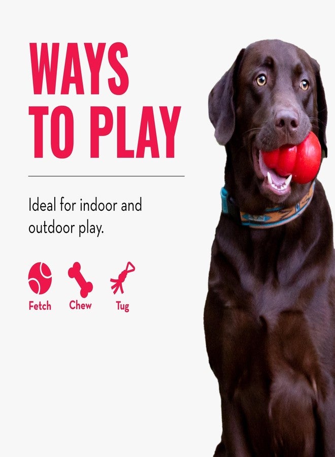كونج لعبة كونغ حبل بنجي للكلاب، متنوعة (كبيرة) - Image 4