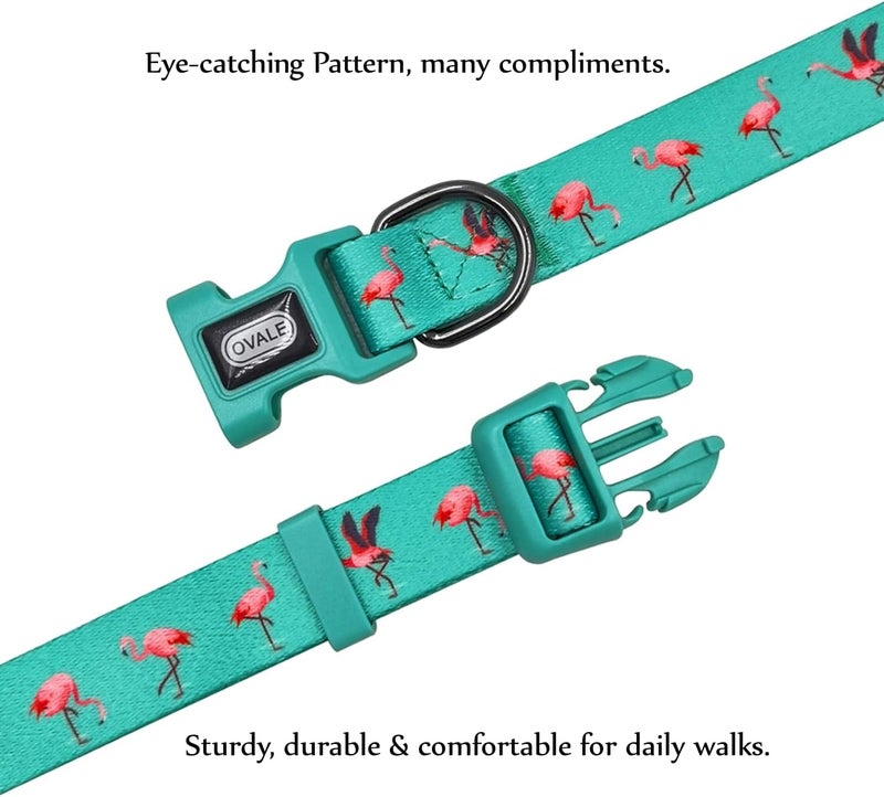 Ovale Dog Collar and Leash Set, Polyester Webbing with Flamingo Pattern, 4 (Green Flamingo, Extra Small) - Image 4