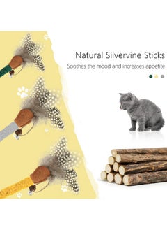 Andiker 3Pcs Cat Chew Sticks, Catnip Chew Toys with Feather Funny Cat Feather Toys Silvervine Matatabi Sticks for Cats Teeth Cleaning Chewing Relax (Yellow+Green+Grey) - pzsku/Z769CB3D1BE85AFB421B5Z/45/_/1737031319/3b6ff77e-5bed-4378-a5d0-ce85237cf602