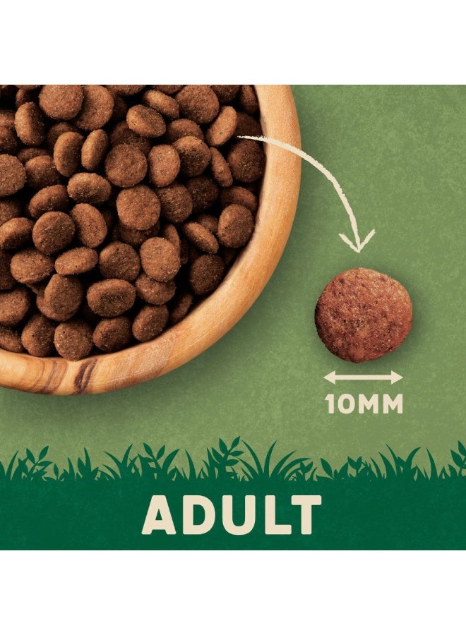 Harringtons Complete Chicken Adult Dry Cat Food - 2kg - Image 2