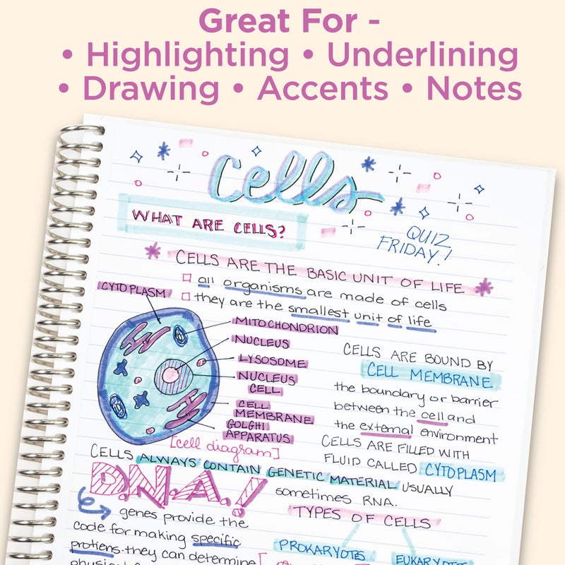 Zebra Pen Mildliner Dual-Tip Highlighter Marker Set, Broad and Fine Point Tips, No Bleed, Ideal for Bible Highlighting and Giftable Art Supplies, Assorted Fluorescent Ink Colors, 5-Pack (78105) - Image 5