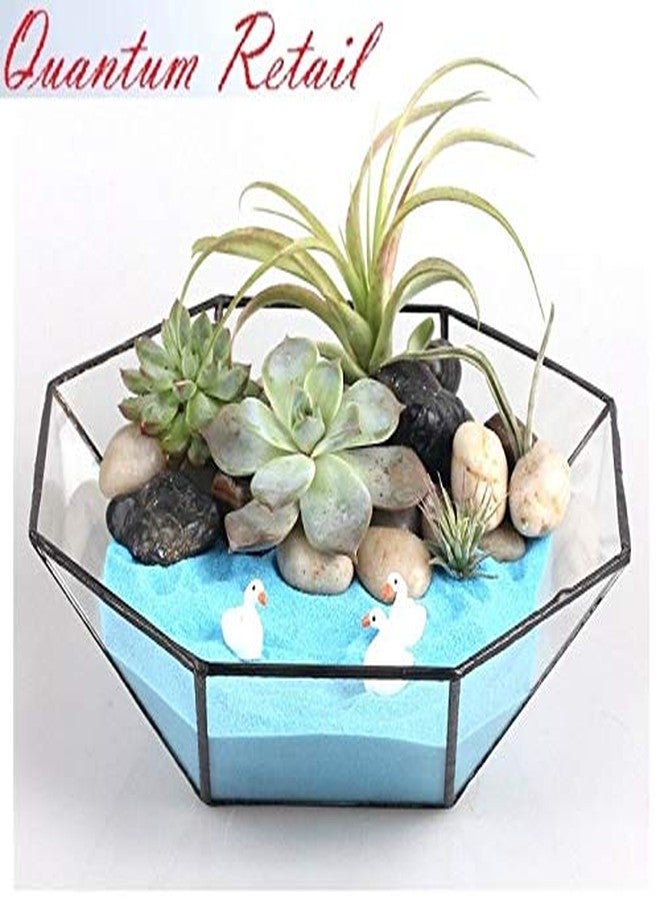 Quantum Retail Sugar Size Sky Blue Quartz Sand Gravel & Substrate for Aquarium Decoration, Home and Garden Decor & Vase fillers (1.5 KG) - Image 2