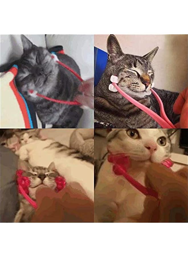 Loquat Cat Face Massager Roller Grooming Tool for Indoor/Outdoor Use - Image 2