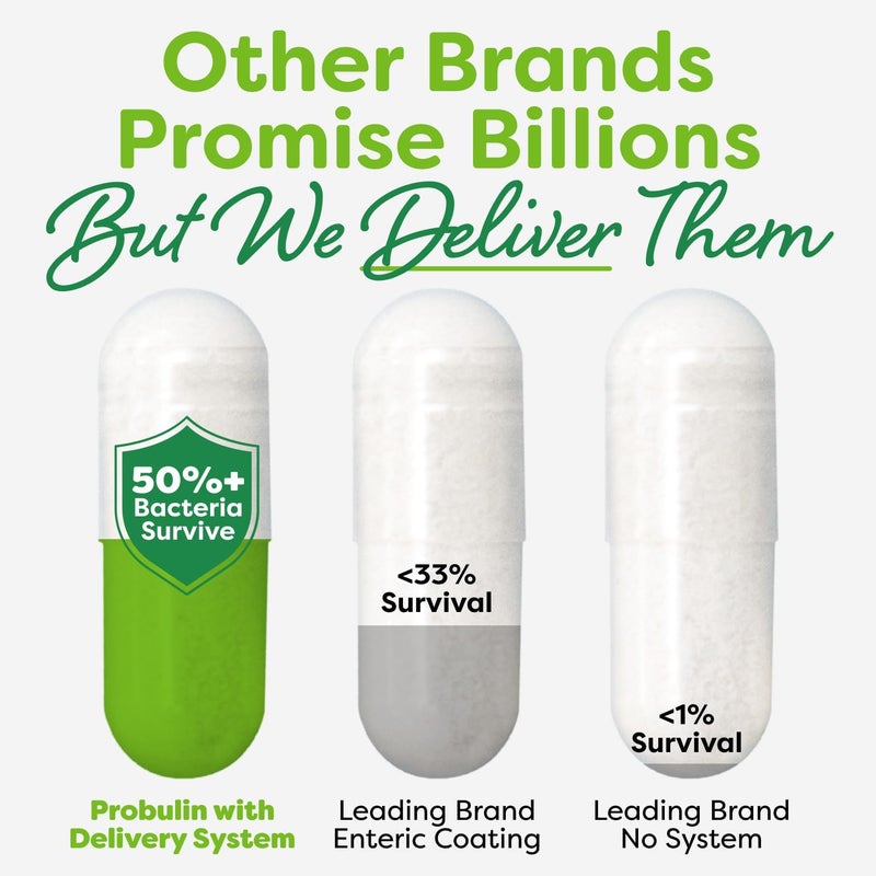 Probulin مكمل بروبيولين لدعم القولون مكمل بروبيوتيك يومي لصحة الجهاز الهضمي والمناعة كبسولات بروبيوتيك للرجال والنساء 20 مليار CFU نباتي 60 كبسولة في الزجاجة - Image 3