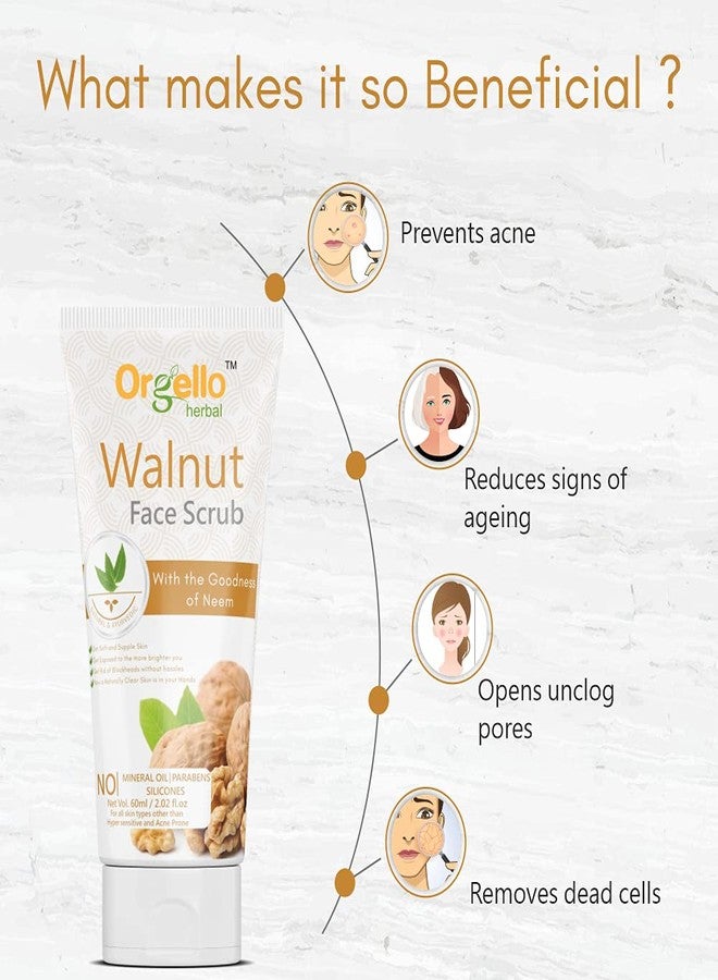 Orgello herbal Walnut Scrub (3 x 60g) - Pack of 3 - for men women girls boys normal oily dry skin sls paraben mineral oil free - Image 5
