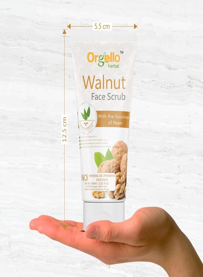 Orgello herbal Walnut Scrub (3 x 60g) - Pack of 3 - for men women girls boys normal oily dry skin sls paraben mineral oil free - Image 3