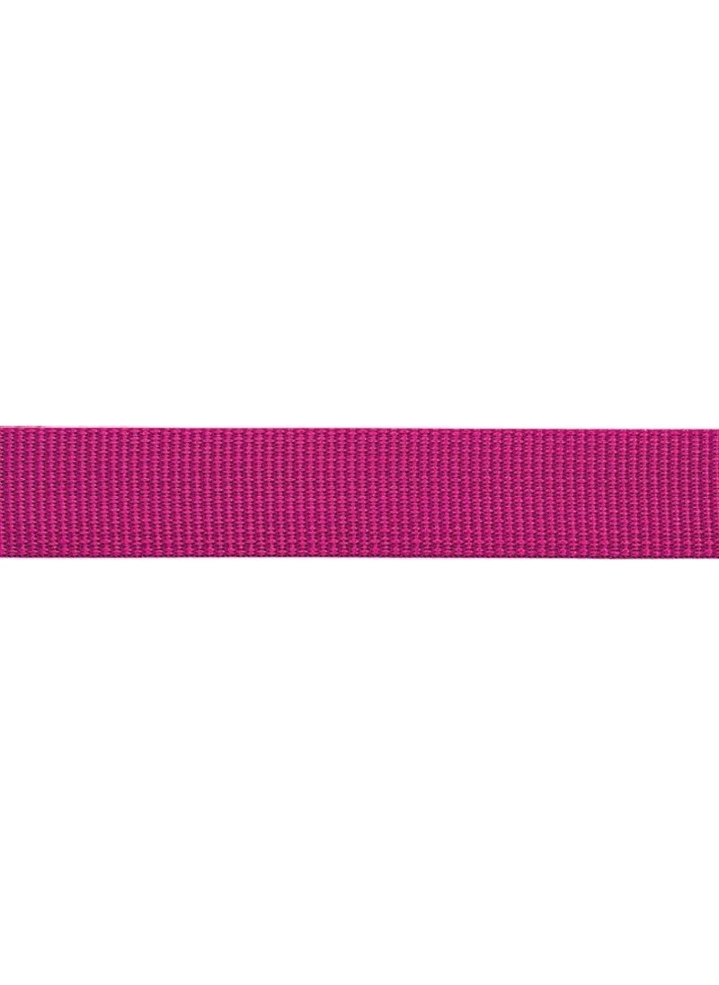 بيل Flat Tape 26MM x 100 M Perlon Tape