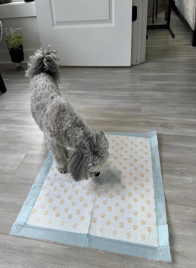 سبوت فوط تبول للجراء من سبوت دكتور بيلز للكشف المبكر عن الأمراض ومراقبة صحة الكلاب - فوط تبول للجراء مزودة ببصمات أقدام متغيرة اللون تشير إلى مستوى الرقم الهيدروجيني لبول كلبك، فائقة الامتصاص، مانعة للتسرب، 22 بوصة × 22 بوصة، عبوة من 50 فوطة - Image 5