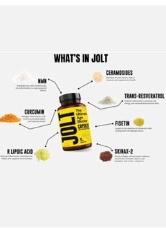 JOLT JOLT Anti-Aging Supplement: Convenient Daily Capsules for Enhanced Skin Radiance, Reduced Wrinkles, and Increased Energy with Premium Ingredients Antiaging 90 Capsules  - Image 4
