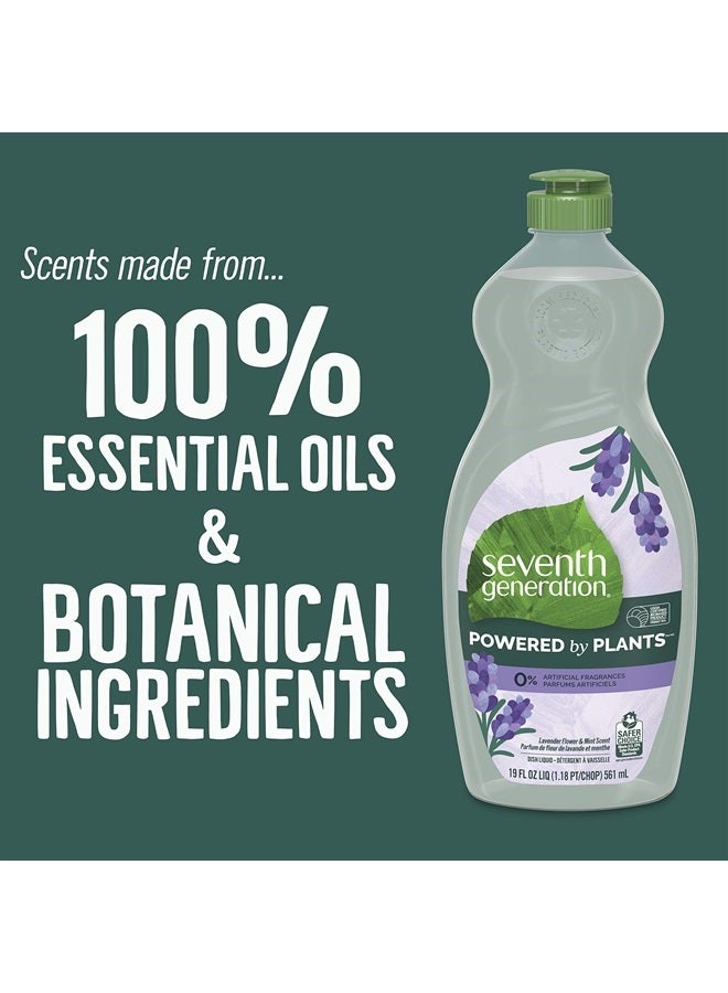 Seventh Generation Dish Soap Liquid, Lavender Flower & Mint, 19 oz, Pack of 6  - Image 5