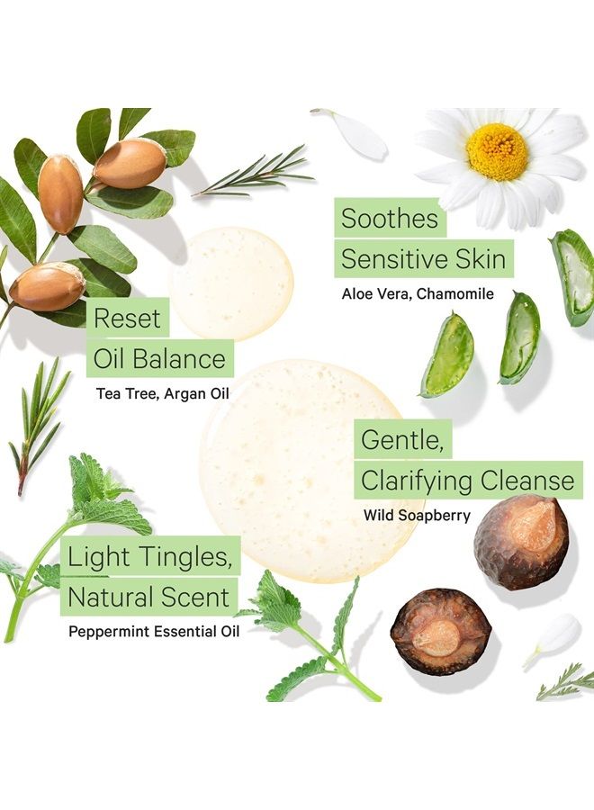 Tree to Tub Peppermint Shampoo for Oily Hair & Sensitive Scalp - Gentle Clarifying Shampoo for Build Up, Sulfate Free Residue Free Hair Shampoo for Women & Men w/Organic Argan Oil, Natural Aloe Vera  - Image 3