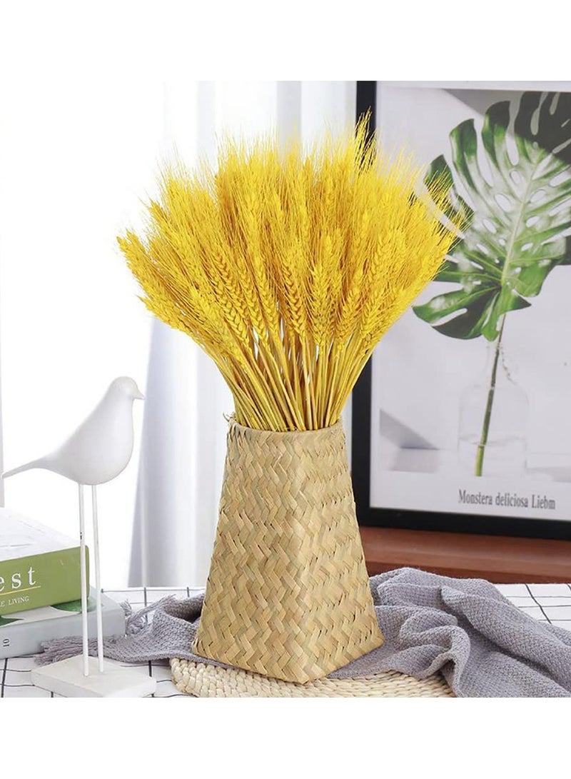 Excefore Dried Wheat Sheaves Stalks Bouquet Bundles, 100 Stems Natural Ear of Wheat Grain Flowers Dry Grass Bunch DIY Arrangements for Home Wedding Store Decorative - Image 4