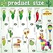 Tinlade 15 Pcs Fiesta Cupcake Topper Mexican Theme Cake Decoration Cactus Piata Cinco De Mayo Taco Party Decorations with Wooden Sand Hammer and Foam Chili Decorations for Rainbow PartyCute Style - Image 4