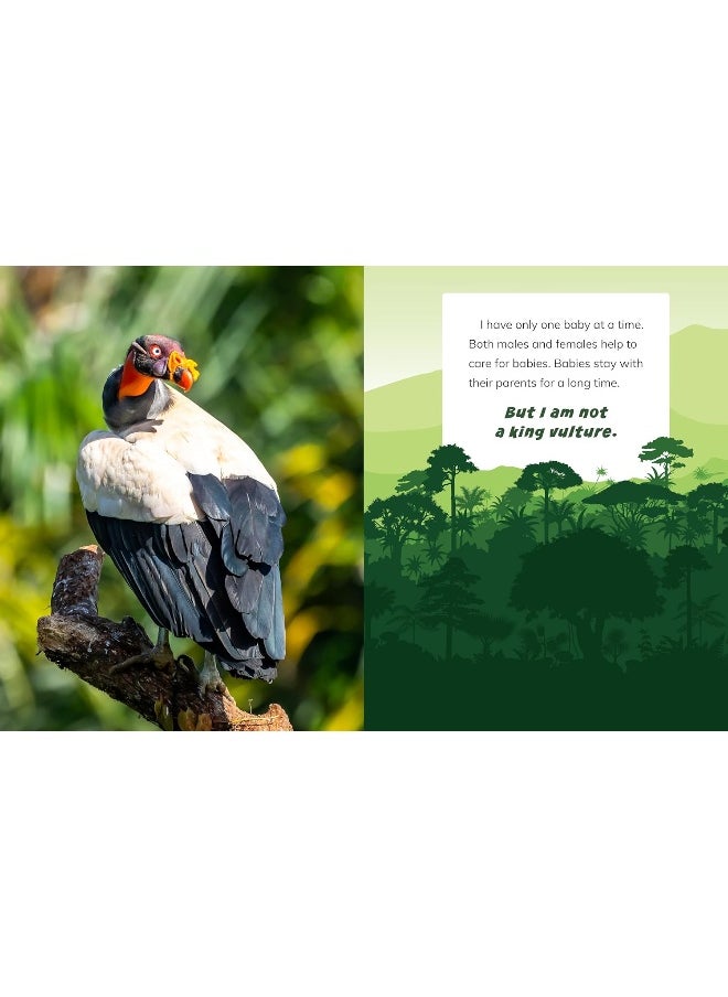 null - I Am Not a Parrot: Animals in the Rainforest - Image 1