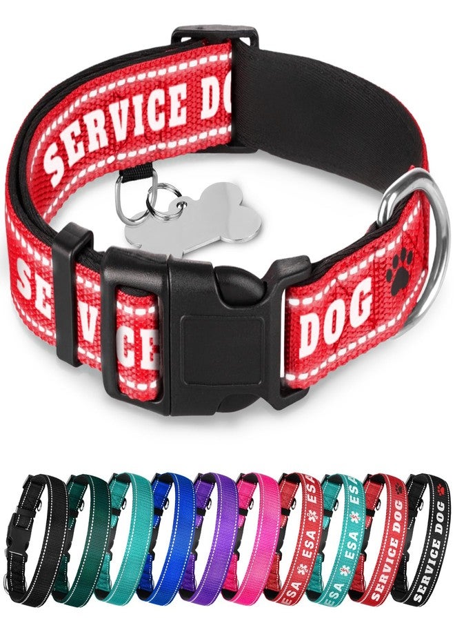 TECEUM Reflective Pet Collar – Red - Service Dog – S – Extra Soft Padding – Basic Nylon Dog Collar – Quick Release Buckle – Fits Small, Medium and Large Dogs, Puppies, Cats - Image 1