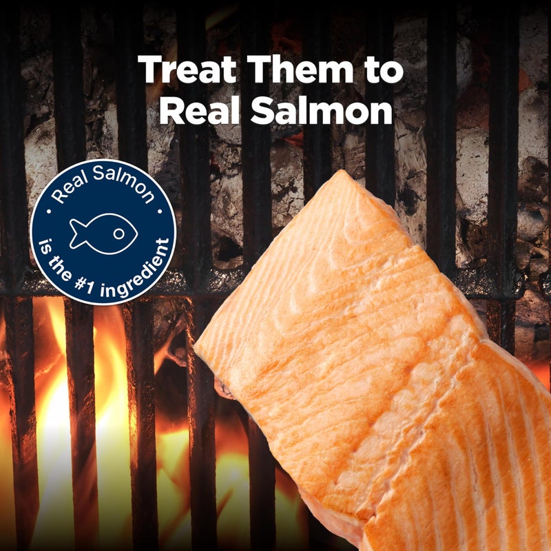 Blue Buffalo Nudges Grillers Natural Dog Treats, Made in The USA with Real Salmon, 16-oz. Bag - Image 3