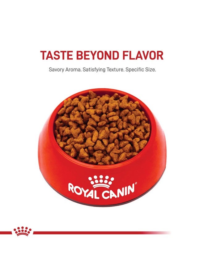 ROYAL CANIN Pug Puppy Breed Specific Dry Dog Food, 2.5 Lb. Bag - Image 5