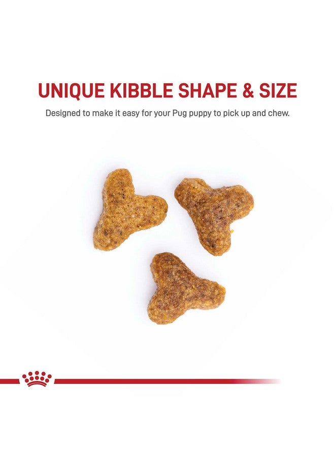 ROYAL CANIN Pug Puppy Breed Specific Dry Dog Food, 2.5 Lb. Bag - Image 2