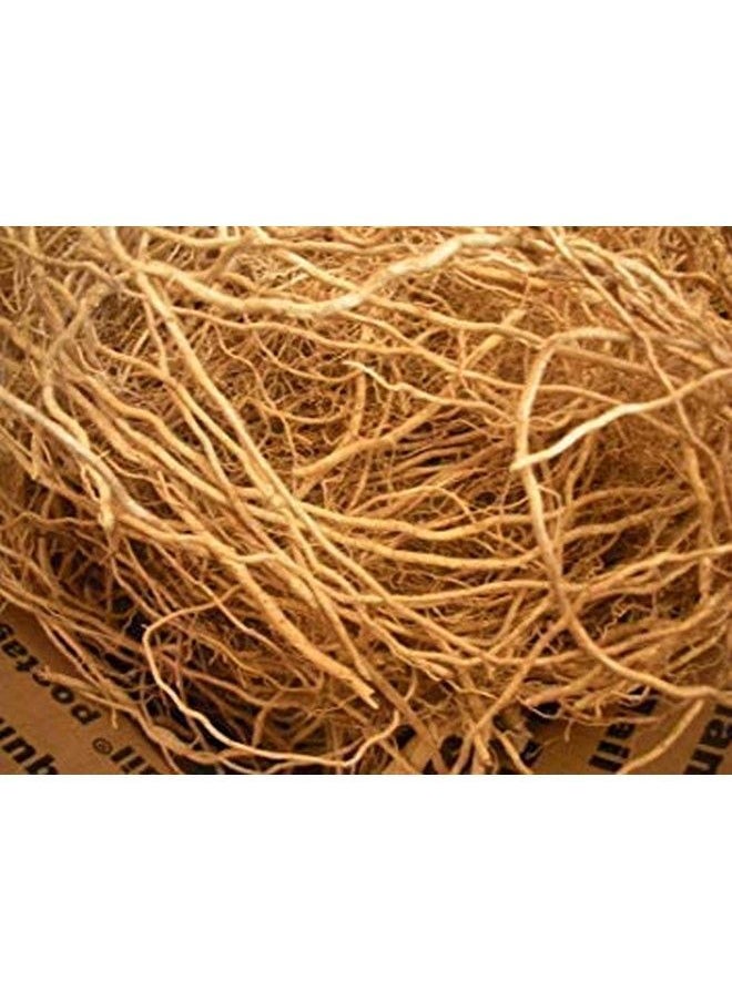 Saara - Herbal Fresh Vetiver Root 100G Khus Root Vetiveria Zizanioides Vala Kas Ramacham Vetiver For Hair Growth Healthy Skin (Pack Of 1 X 100G) - Image 1