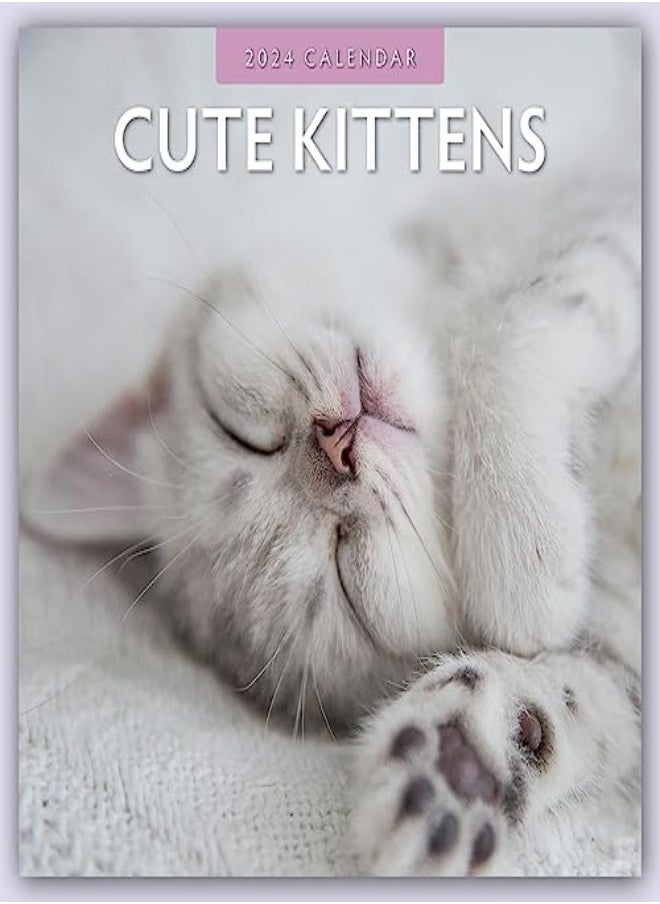 Cute Kittens 2024 Square Wall Calendar 