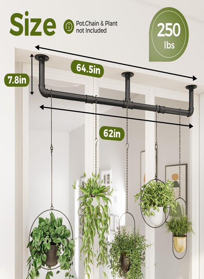 Bamworld Window Plant Hanger Indoor 63in Hanging Planters for Indoor Plants Hanging Plants Holder Hanging Rod Window Plant Shelves Wall Planters Pot/Chain/Plant Not Included(Black) - Image 4