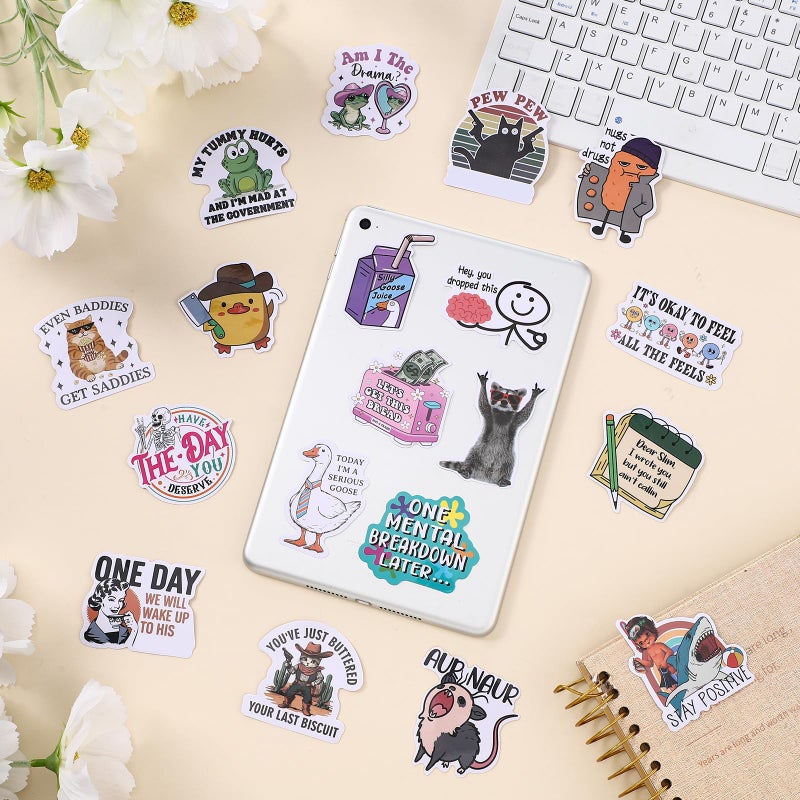 Chivertion 400 Pcs Funny Stickers for Adults Waterproof Funny Meme Stickers Pack for Laptop, Water Bottles, Bumper, Phone, Hard Hats, Wall, Window Decals Decors, 200 Styles - Image 5