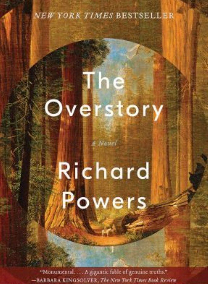 Overstory 