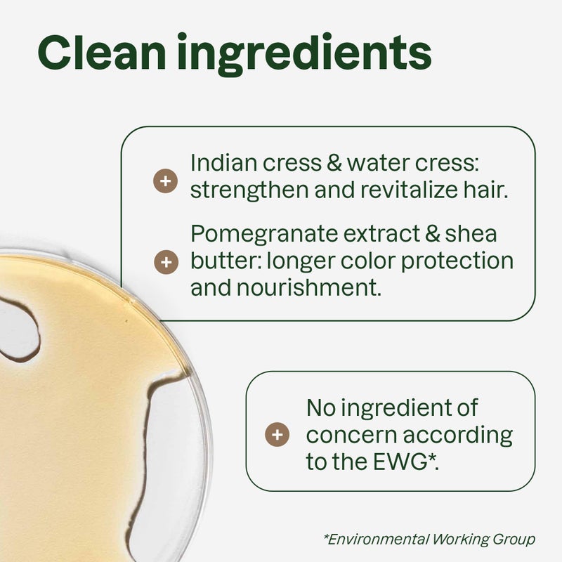 ATTITUDE Colorlast Shampoo, Patchouli and Black Pepper, EWG Verified with Essential Oils, Vegan & Plant-Based, Aluminum Bottle, For Color Treated Hair, 16 Fl Oz - Image 3