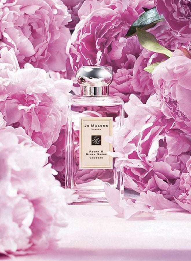jo Malone Peony And Blush Suede Cologne 100ml - Image 4