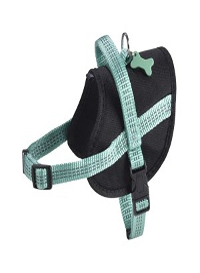 Bobby Easy Safe Harness - Lagon / L