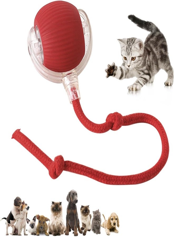 KICKZU Interactive Rolling Dog Ball, Interactive Rolling Ball Dogs Toy, Chewie Viral Vibrating Toy for Dogs, Anti-Bite Intelligent Cat Teasing, 360° Smart Automatic Moving Pet Toy Breed - Image 5