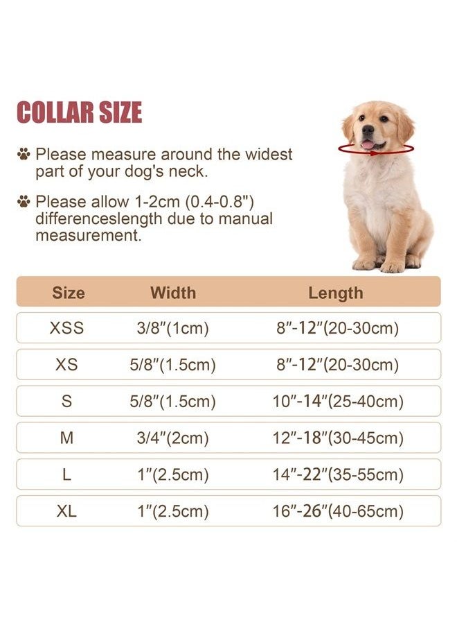 BOOMIBOO - Reflective Dog Collar with Buckle Adjustable Safety Nylon Collars for Small Medium Large Dogs, Teal XXS - Image 1