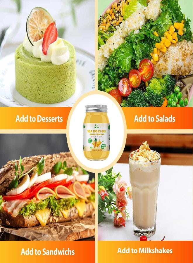 OALSE Sea Moss Gel - 18.5OZ Mango Pineapple Flavor Sea Moss Gel Raw Nutritious Rich in 102 Vitamins and Minerals, Proteins & Vitamins, Vegan-Friendly - Image 4