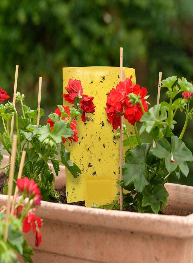 Gideal 20-Pack Dual-Sided Yellow Sticky Traps for Flying Plant Insect Such as Fungus Gnats, Whiteflies, Aphids, Leafminers,Thrips - (6x8 Inches, Included 20pcs Twist Ties) - Image 5