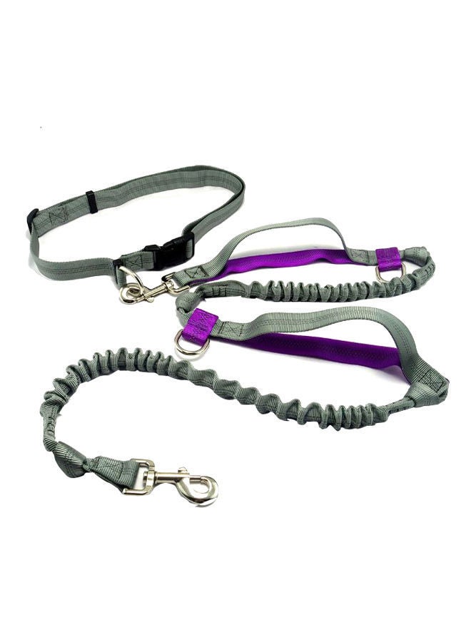 NIBEMINENT Pet Retractable Walking Leash With Waist Belt Purple/Grey
