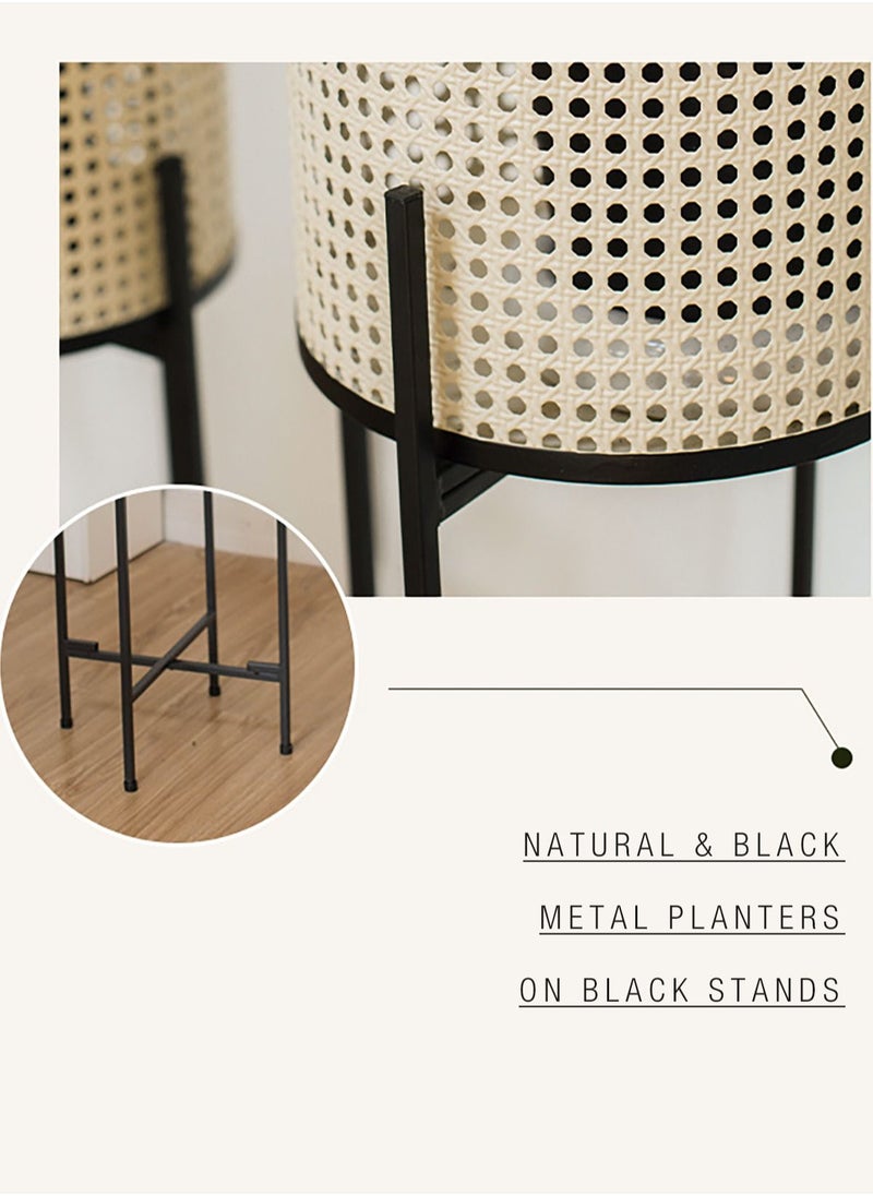 Merry Moments Rattan Imitation Weaving Planter Stand Plant Holder Flower Stand Plant Pot Holder Metal Black Sand Colour with Containers for Indoor and Outdoor Plant 1 Pcs L25xH80xW25  - Image 5