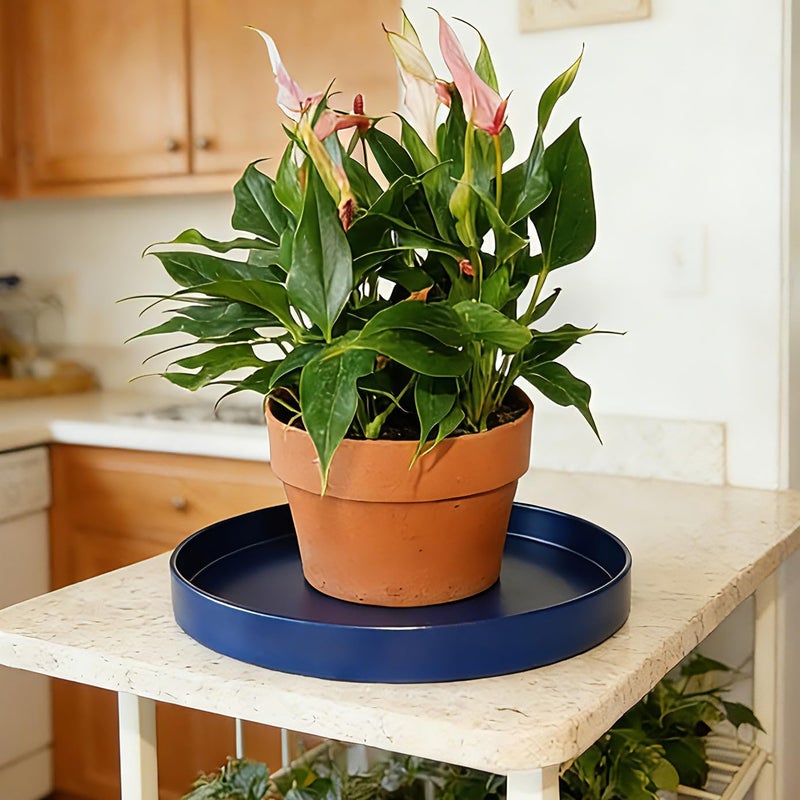 Afrine Plant Saucer, Plant Saucers - Image 3